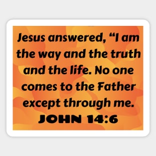 Bible Verse John 14:6 Magnet